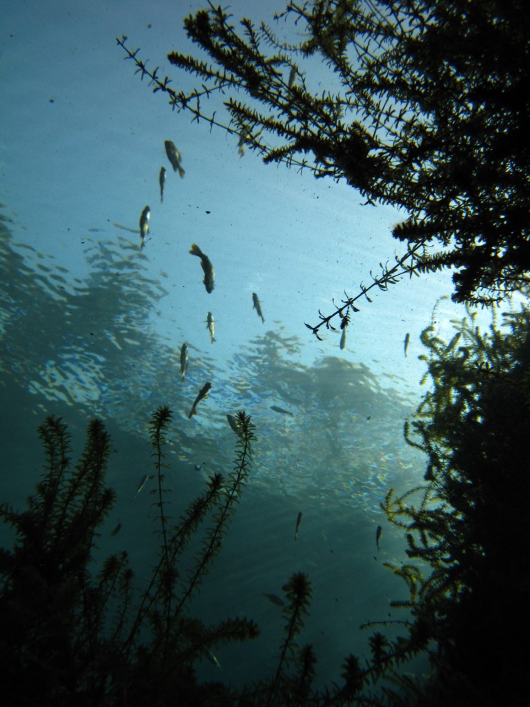 (photo: Blake Harvey