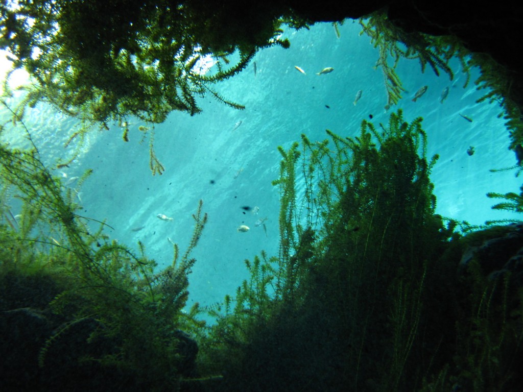 (photo: Blake Harvey)