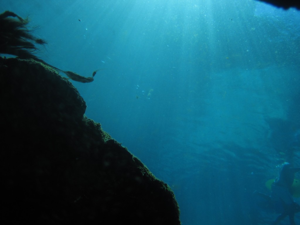 Looking out from the vent.